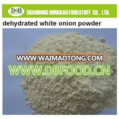 WHITE Dehydrated Onion POWDER EUROPE MARKET