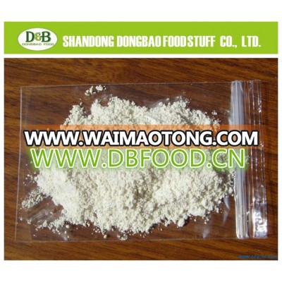 Dehydrated Onion POWDER EUROPE MARKET