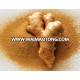 Ginger powder with lowest price Ginger Powder food flavoring